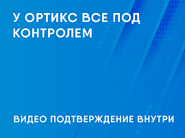 У Ортикс всё под контролем