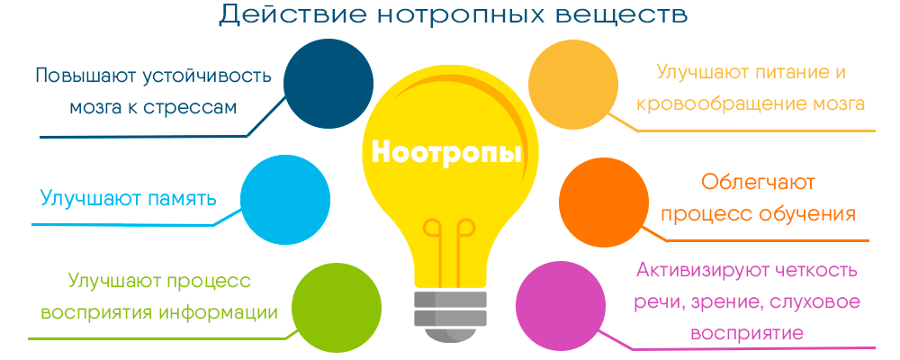 инфографика.png